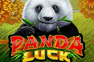 Playtech : Panda Luck - SPONSOR777
