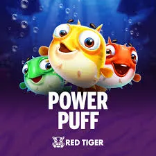 Redtiger : Power Puff - SPONSOR777